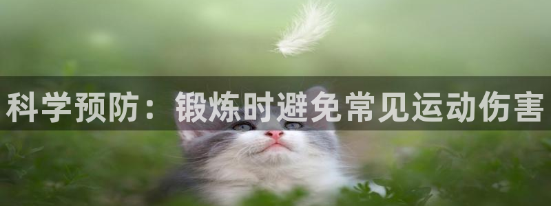 沐鸣能源：科学预防：锻炼时避免常见运动伤害