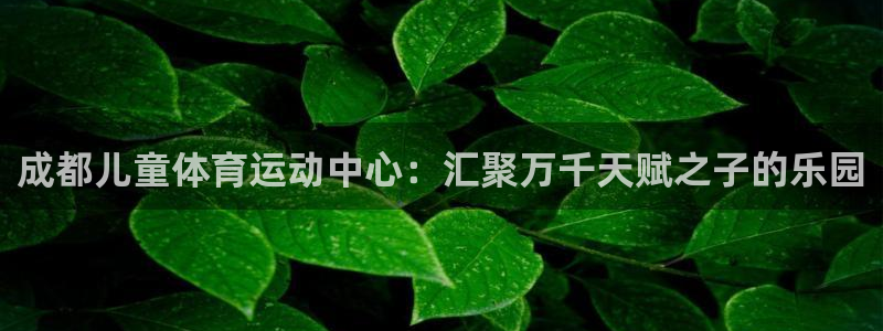 沐鸣平台主管：成都儿童体育运动中心：汇聚万千天赋之子的乐园