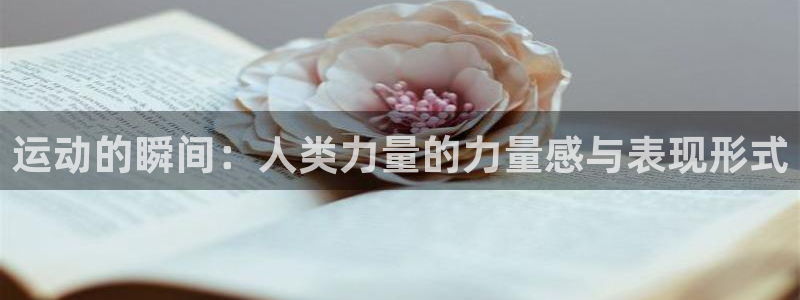 沐鸣体育用品：运动的瞬间：人类力量的力量感与表现形式