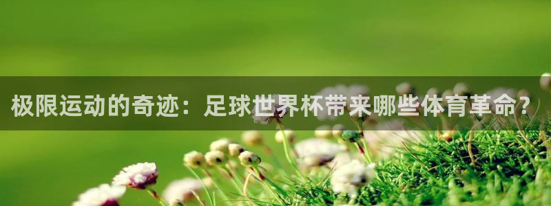 沐鸣登录：极限运动的奇迹：足球世界杯带来哪些体育革命？