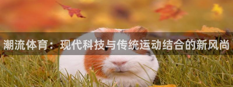 沐鸣2注册：潮流体育：现代科技与传统运动结合的新风尚