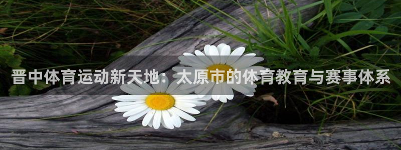 沐鸣体育代理：晋中体育运动新天地：太原市的体育教育与赛事体系