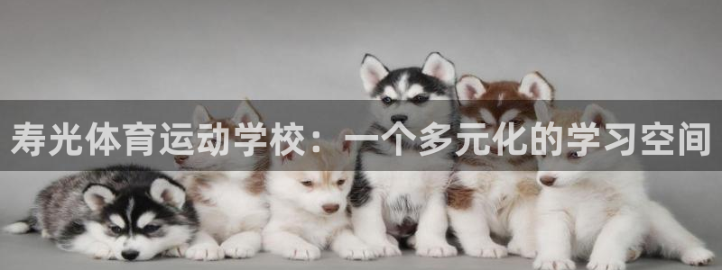 沐鸣体育4：寿光体育运动学校：一个多元化的学习空间