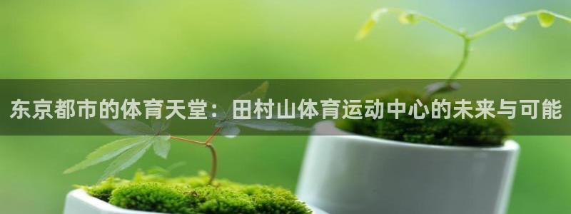 沐鸣kgame：东京都市的体育天堂：田村山体育运动中心的未来与可能