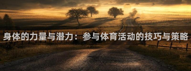 沐鸣2平台：身体的力量与潜力：参与体育活动的技巧与策略