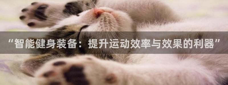 沐鸣体育在线注册：“智能健身装备：提升运动效率与效果的利器”